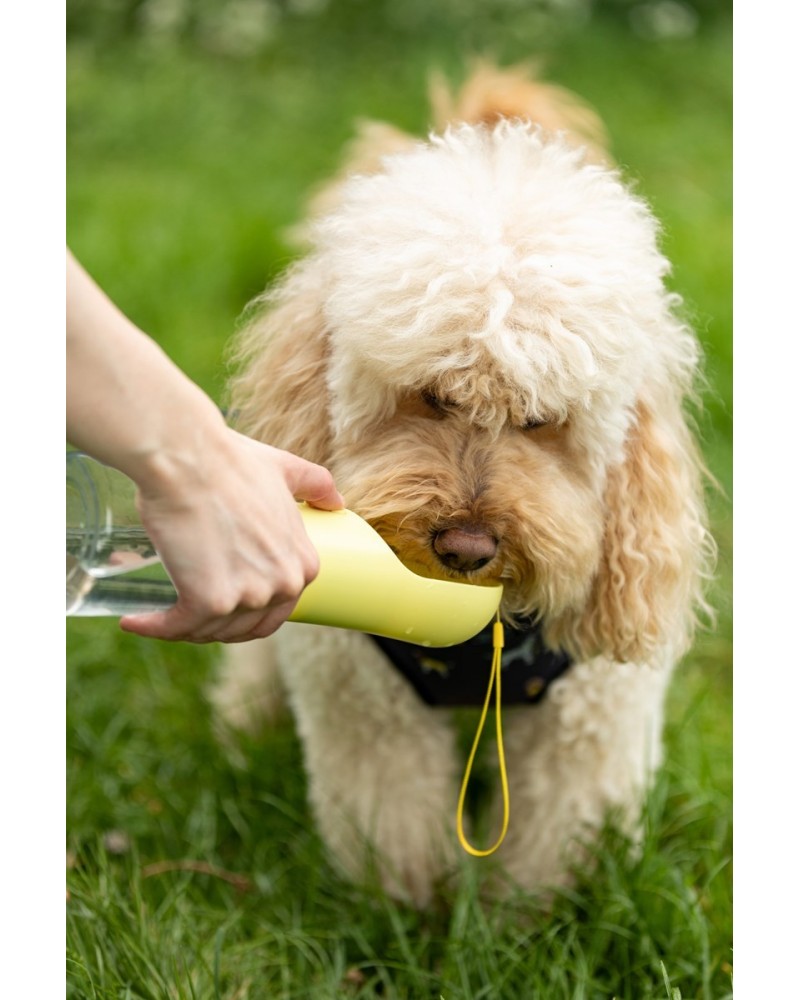 Pet Water Bottle - 11.6oz Yellow $10.79 Pets