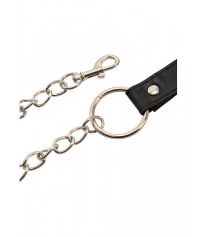 Pet Chain Lead Black $8.69 Pets