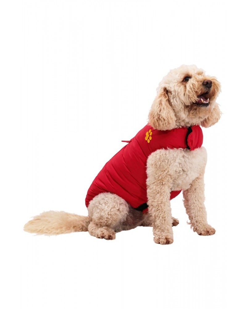 Insulated Water-Resistant Dog Jacket - Medium Red $11.95 Pets