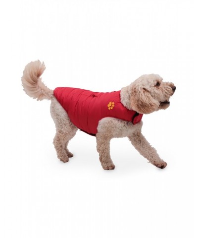 Insulated Water-Resistant Dog Jacket - Medium Red $11.95 Pets