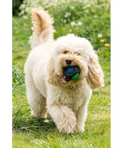 Flash & Squeak Play Ball Mixed $7.94 Pets